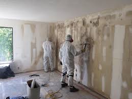 Environmental Consulting for Mold Prevention in Borrego Springs, CA